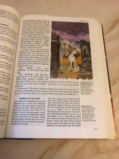 NIrV Illustrated Bible 2013 – Easy Read Christian Bible - (Ref x420)