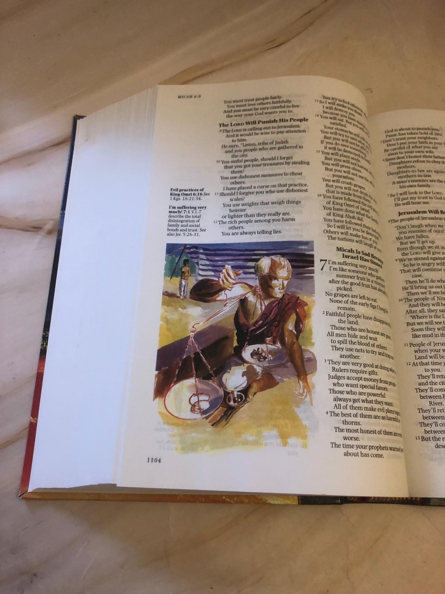 NIrV Illustrated Bible 2013 – Easy Read Christian Bible - (Ref x420)