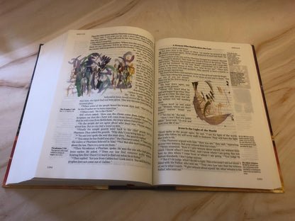 NIrV Illustrated Bible 2013 – Easy Read Christian Bible - (Ref x420)