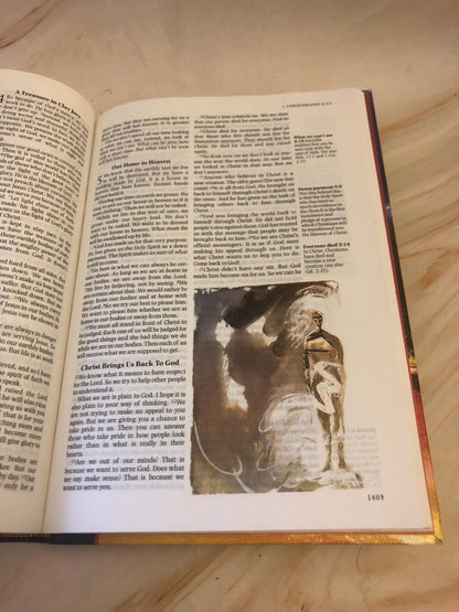 NIrV Illustrated Bible 2013 – Easy Read Christian Bible - (Ref x420)