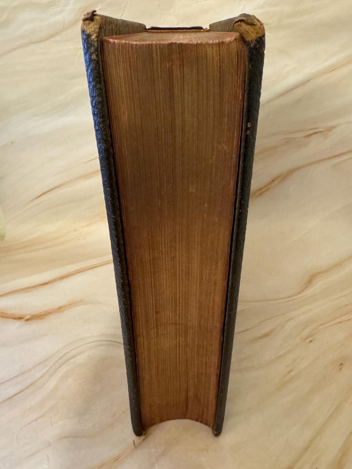 1800s Large Antique Family Bible, King James Version - Ref x464