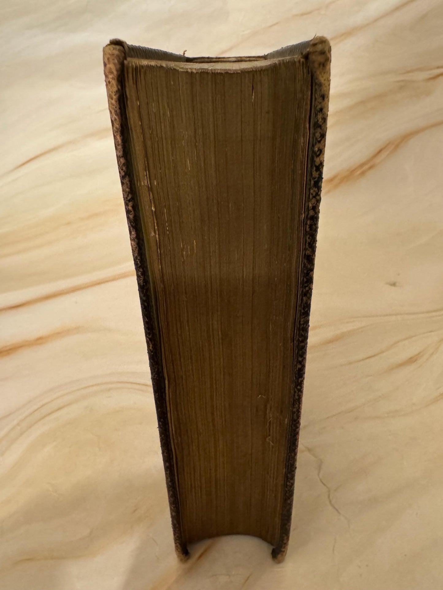 1888 Antique KJV Holy Bible, Victorian King James Bible, British and Foreign Bible Society - Ref X642