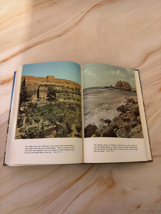 1971 Vintage RSV Holy Bible, Revised Standard Version Illustrated Bible - Ref x635