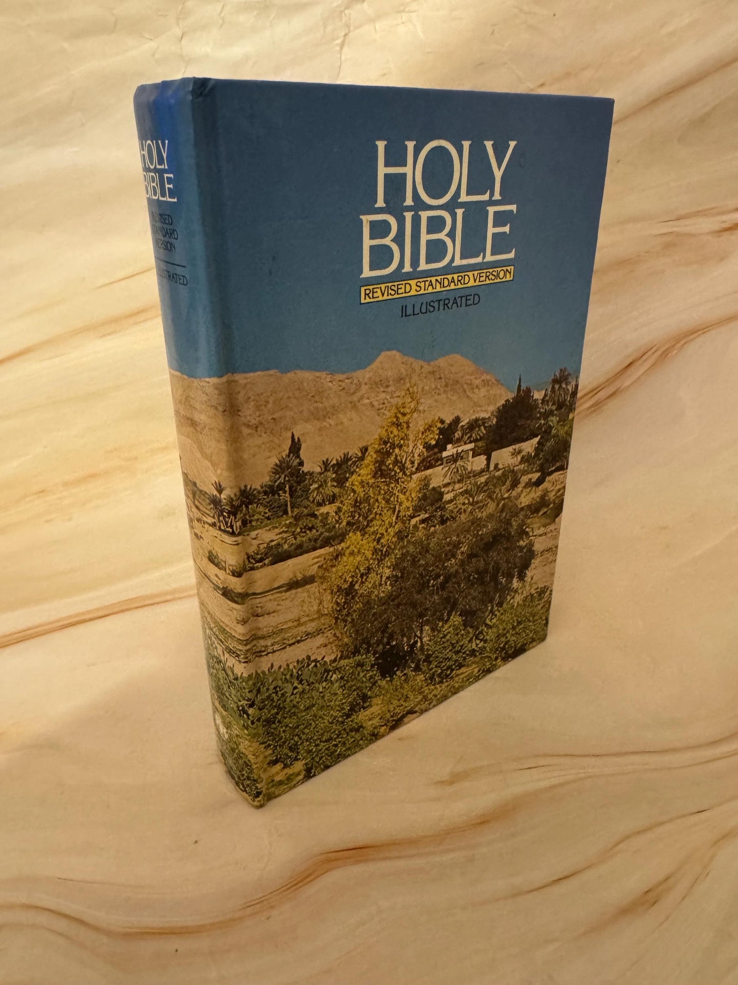 1971 Vintage RSV Holy Bible, Revised Standard Version Illustrated Bible - Ref x635