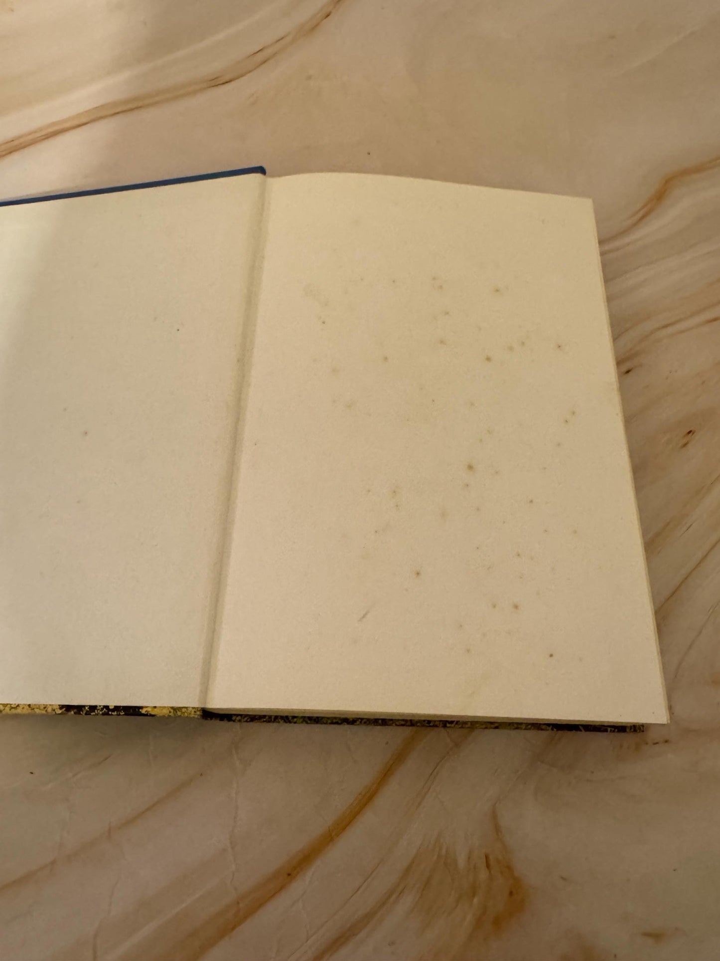 1971 Vintage RSV Holy Bible, Revised Standard Version Illustrated Bible - Ref x635