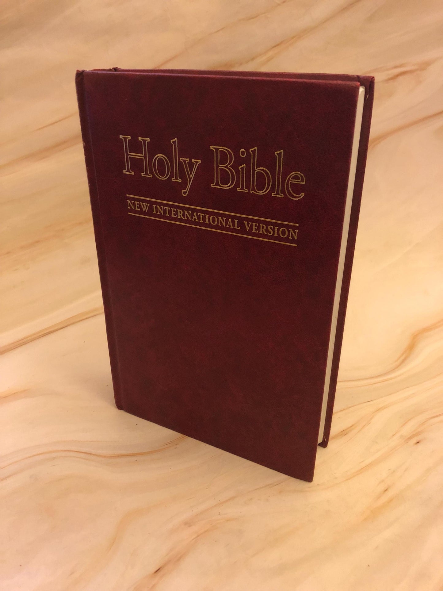 NIV Holy Bible 2001 Hardcover Christian Bible Modern Bible Gift Study Bible - (Ref x405)