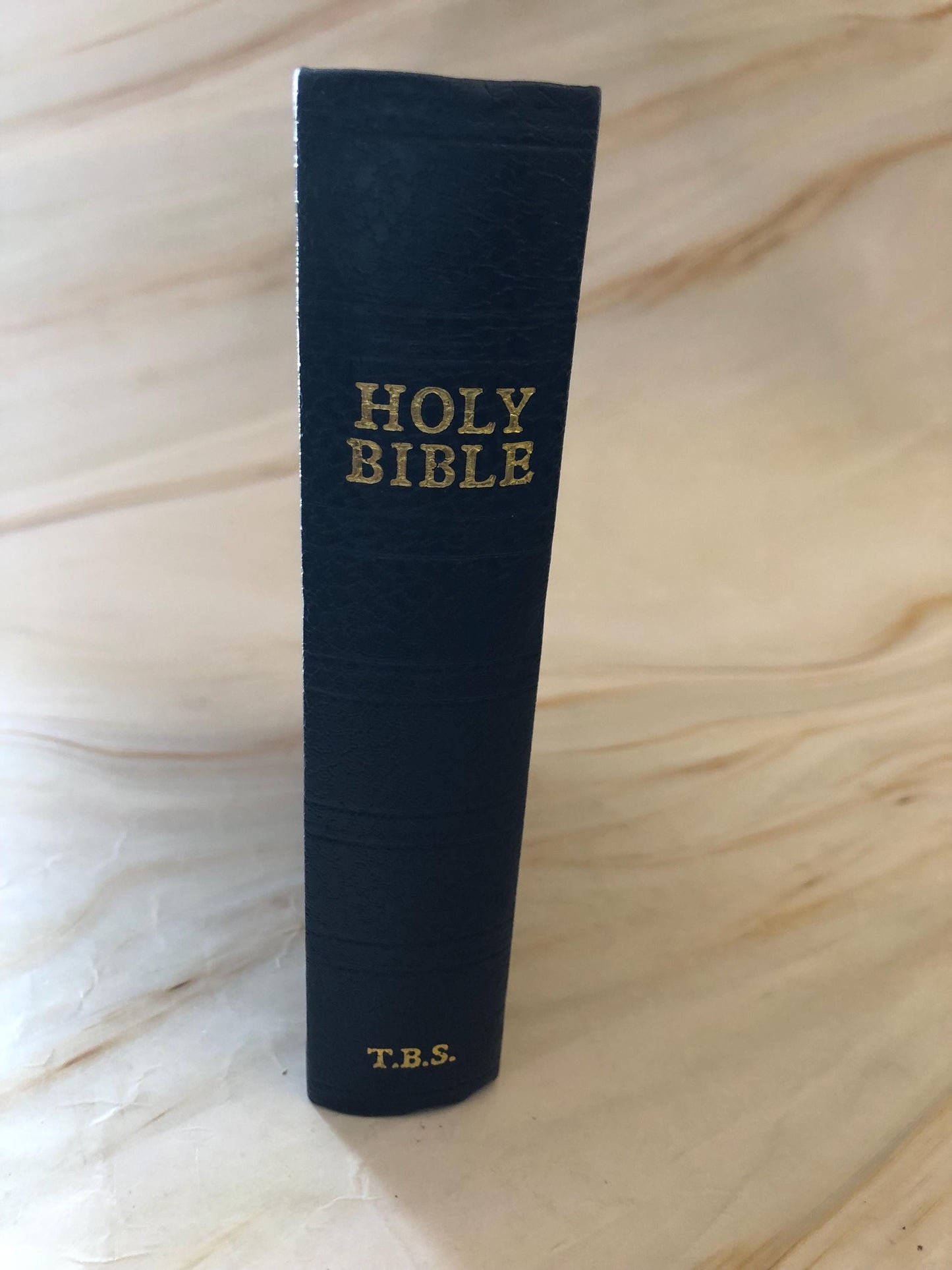 KJV Holy Bible Trinitarian Bible Society Vintage 1980s Edition - (Ref x403)