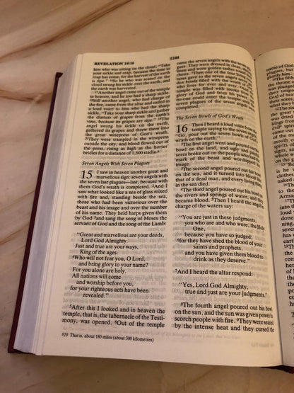 NIV Holy Bible 2001 Hardcover Christian Bible Modern Bible Gift Study Bible - (Ref x405)