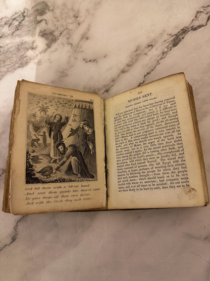 1841 Antique Scripture History Book Leather Bound With Engravings Christian Religious Book - Ref x620