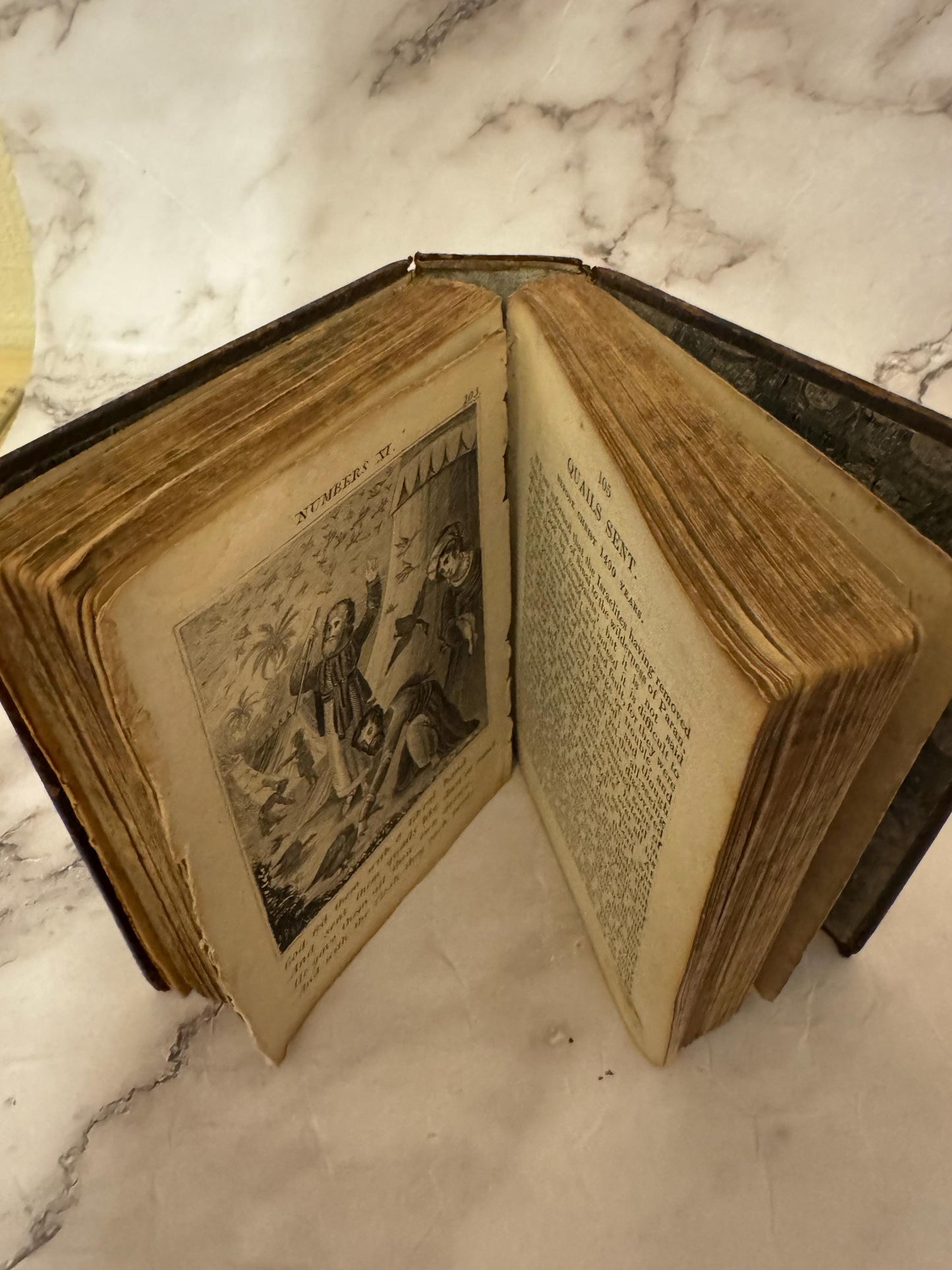 1841 Antique Scripture History Book Leather Bound With Engravings Christian Religious Book - Ref x620