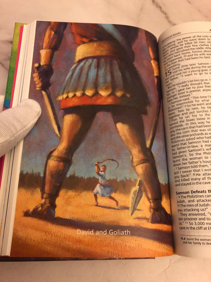 Good News Children’s Picture Bible 2004 - Illustrated Kids’ Bible - Christian Gift - (Ref x375)