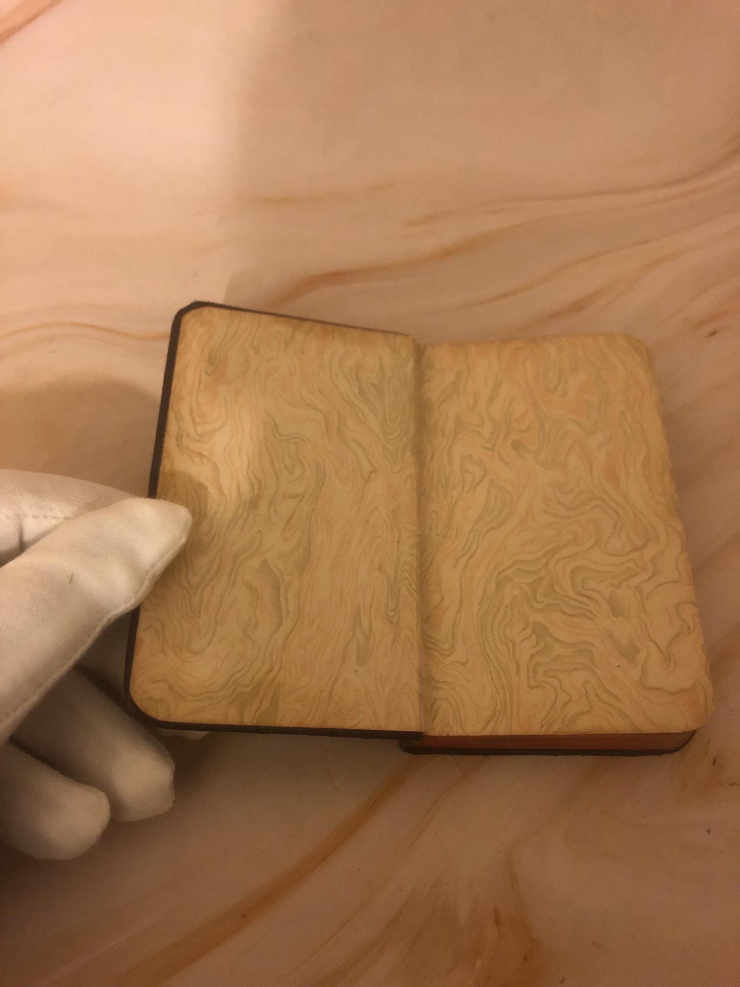 1800s Miniature Pocket Bible Daily Portion Edition - Ref x479