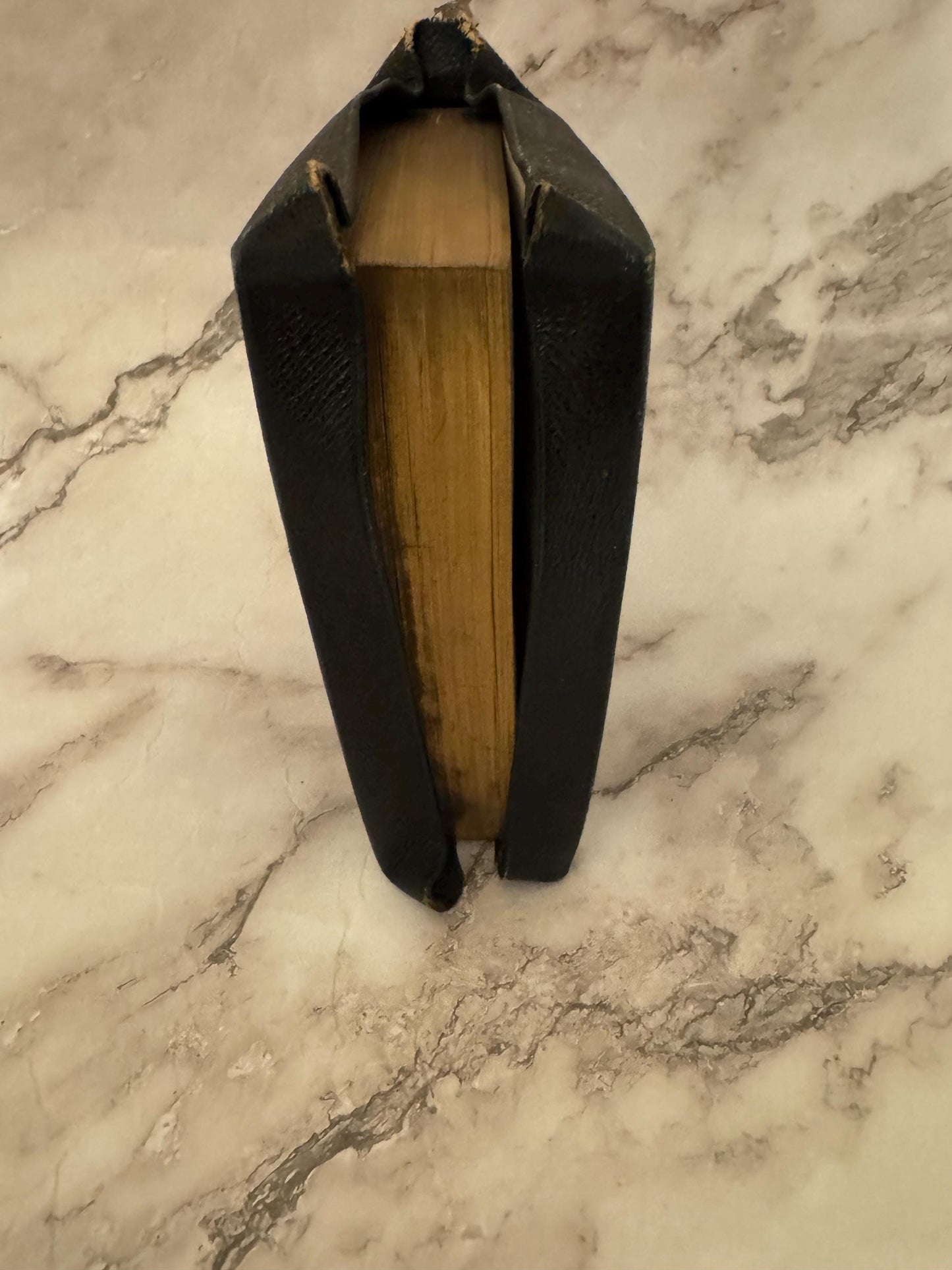 1877 King James Holy Bible Leather Yapp Binding - Ref x607