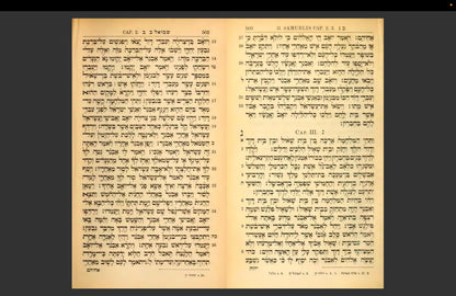 1887 Hebrew Bible PDF Download eBook