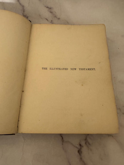 Antique Illustrated New Testament Bible – Late 1800s Christian Book - Ref x595