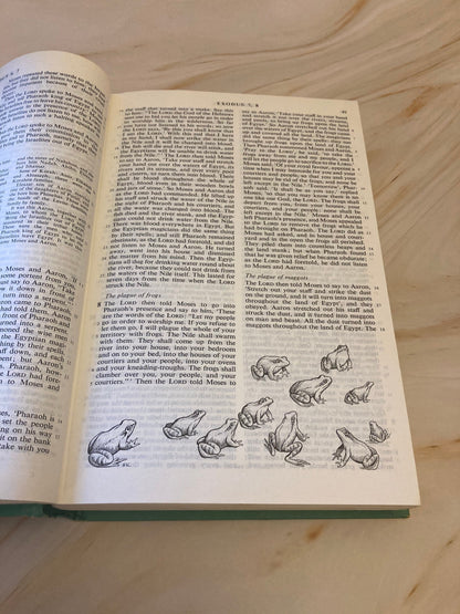 1975 Illustrated Holy Bible Vintage Christian Gift Bible Colour Illustration Bible Study Bible - (X84)