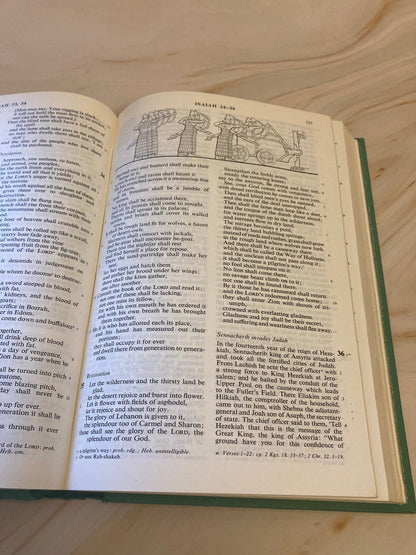 1975 Illustrated Holy Bible Vintage Christian Gift Bible Colour Illustration Bible Study Bible - (X84)