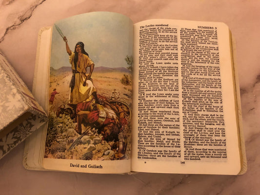 Vintage White Leather Holy Bible Illustrated Christian Gift Small Bible Antique Style Bible - Ref x512