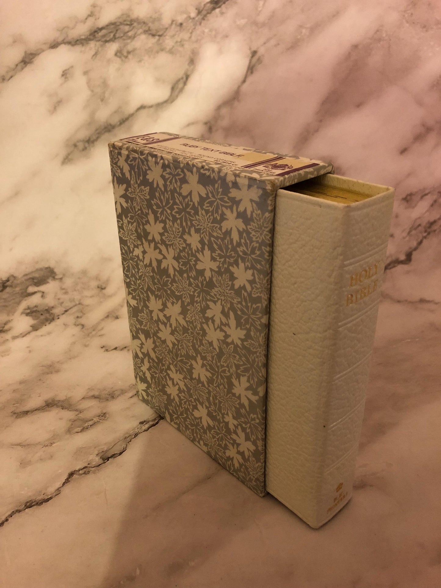 Vintage White Leather Holy Bible Illustrated Christian Gift Small Bible Antique Style Bible - Ref x512