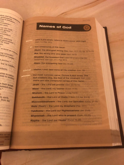2007 Chronological Bible One Year Bible Modern Bible Christian Bible Study Bible - Ref x476