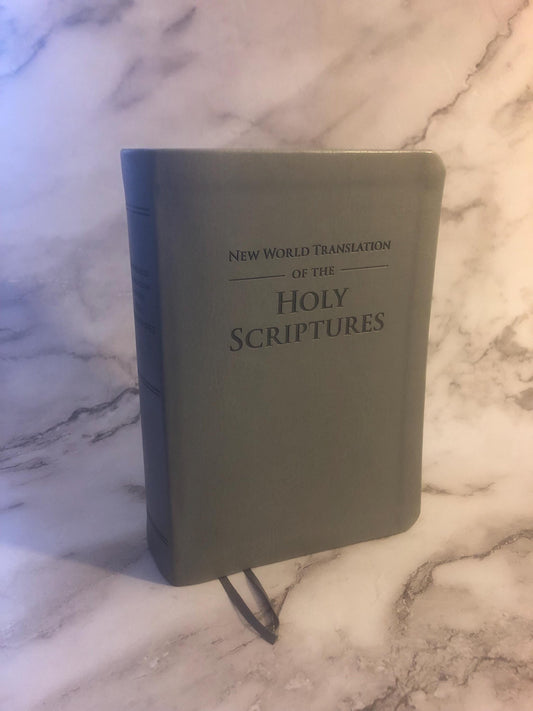 2013 New World Translation of the Holy Scriptures Grey Watchtower Bible - Ref x467