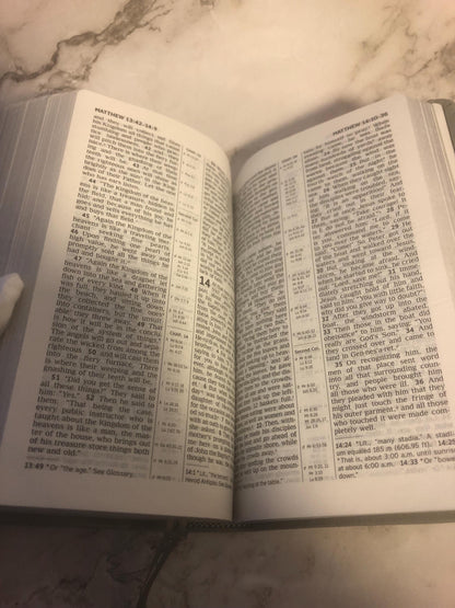 2013 New World Translation of the Holy Scriptures Grey Watchtower Bible - Ref x467