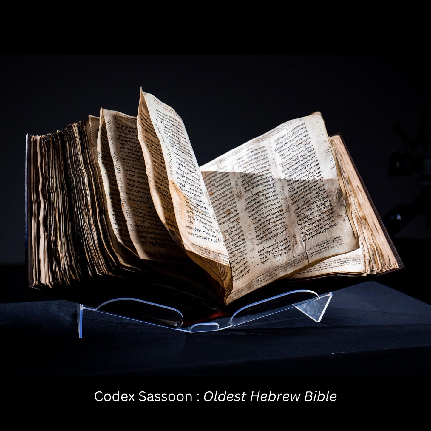1053 Hebrew Bible Codex Sassoon PDF - eBook Download (Read Electronically and Print) - Includes Bonus MP3