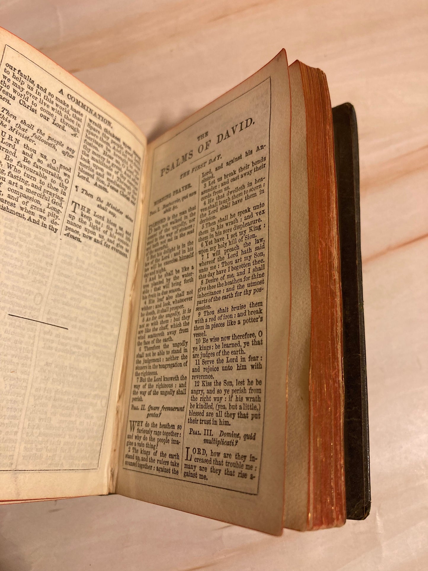 Mini Common Prayer Book with Psalms of David - ( Ref x260)