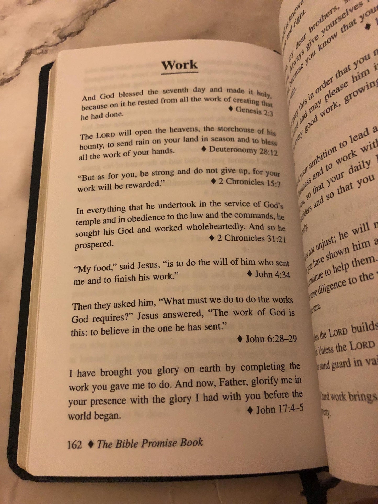 1983 Bible Promise Book NIV Christian Devotional Pocket Bible Gift Book - Ref x501