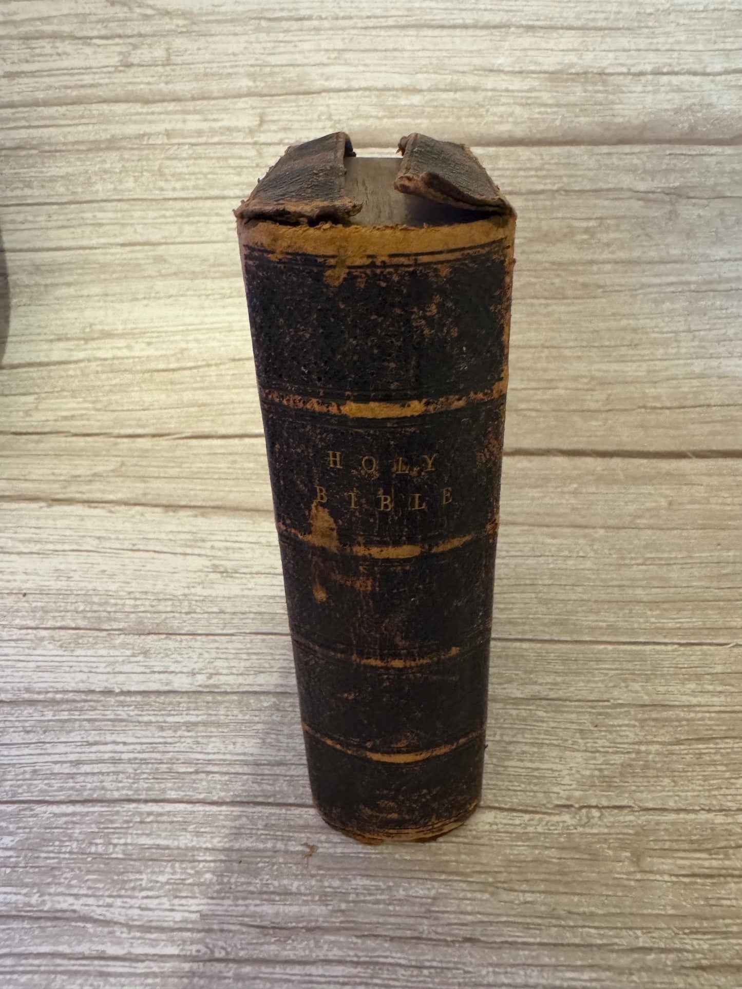 c1800s Antique Holy Bible Oxford University Press Leather Bound Victorian Bible Red Edges - Ref x721