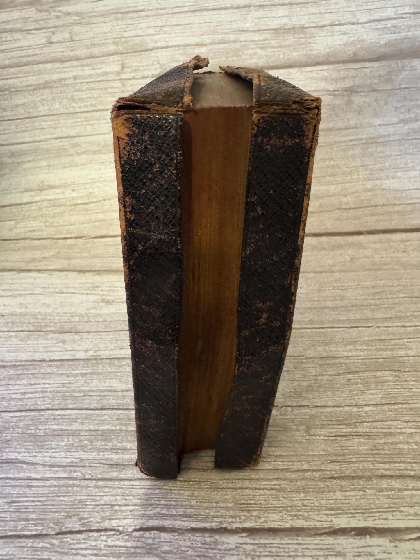 c1800s Antique Holy Bible Oxford University Press Leather Bound Victorian Bible Red Edges - Ref x721