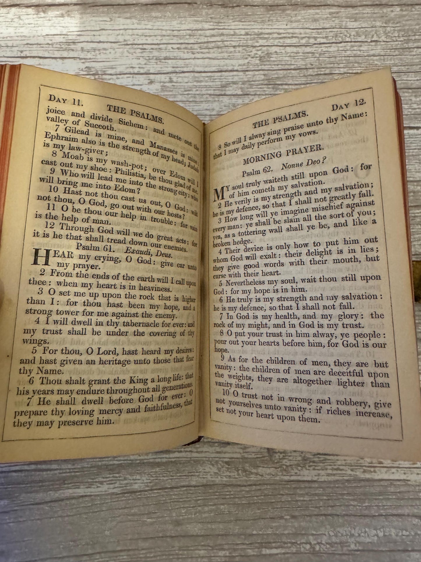 Victorian Holy Bible & New Testament 1864 Book of Common Prayer Brass Clasp Illuminated Leather Bound - Ref x720
