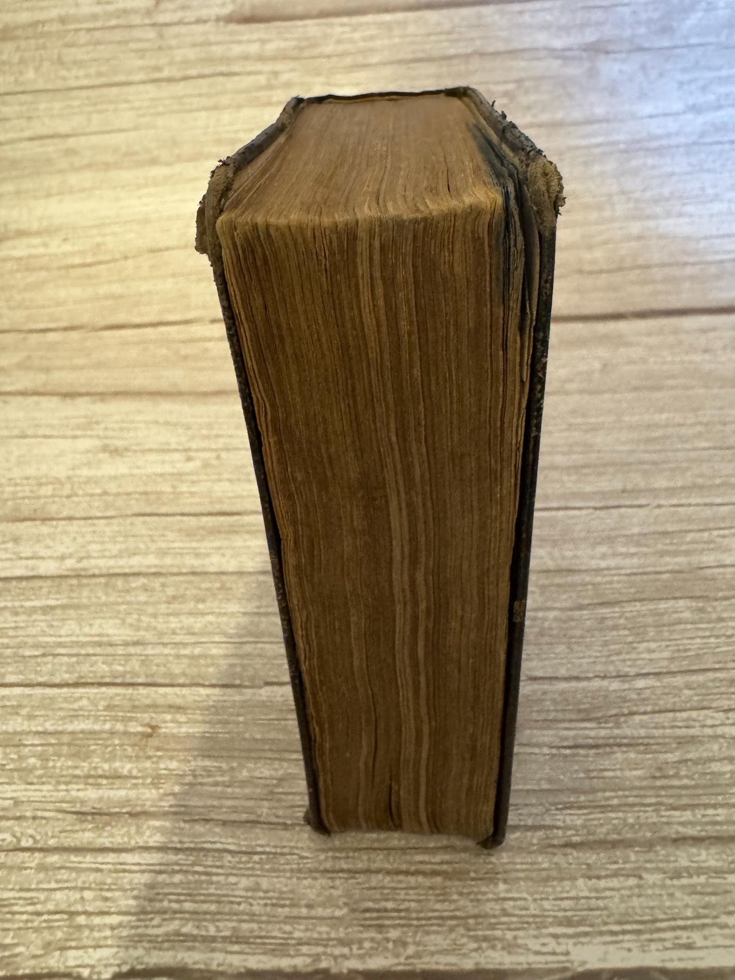 1850 Small Antique Holy Bible Victorian Leather Bound King James Bible - Ref x716