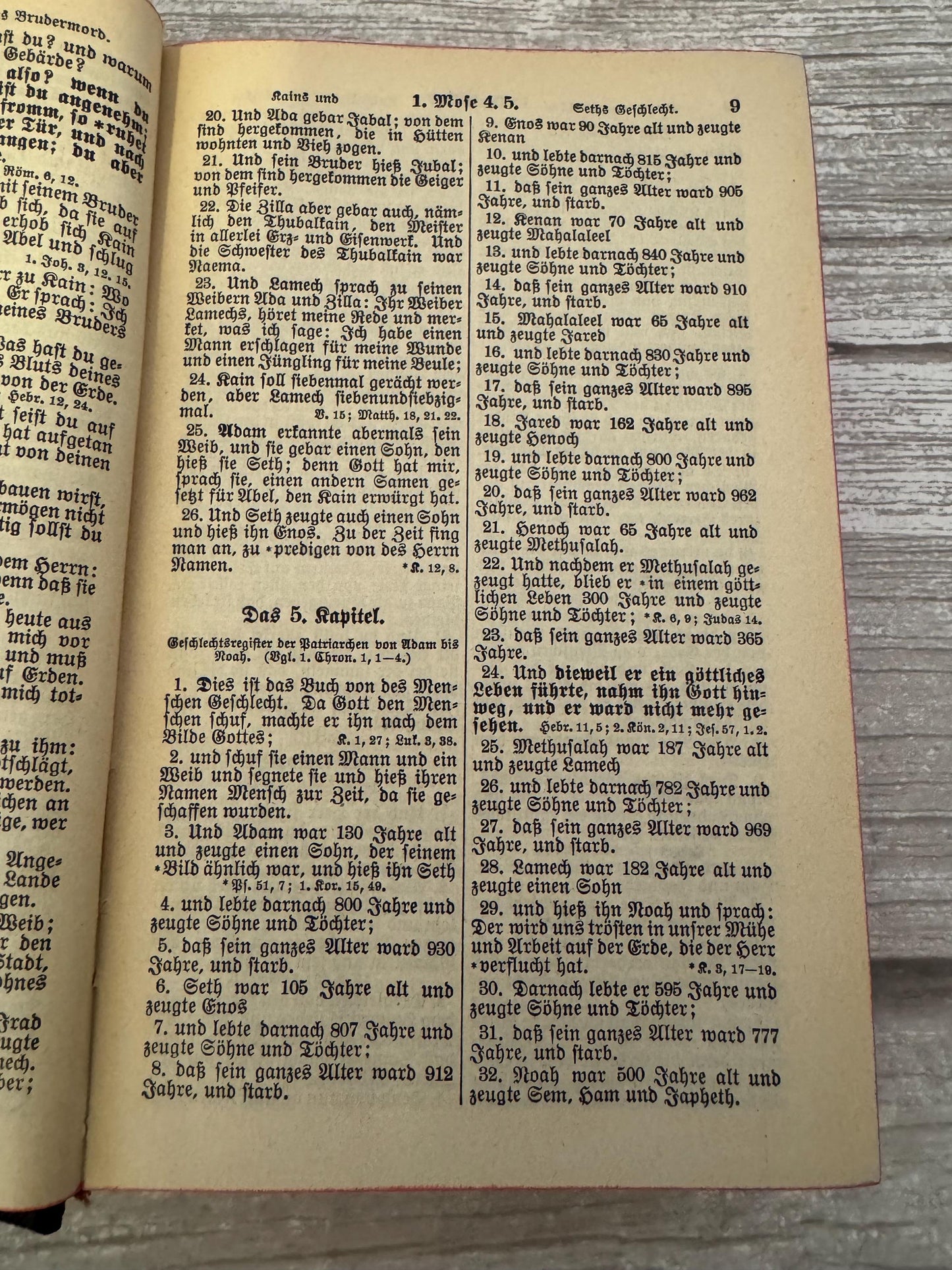1950 German Luther Bible Martin Luther Holy Bible - Ref x707