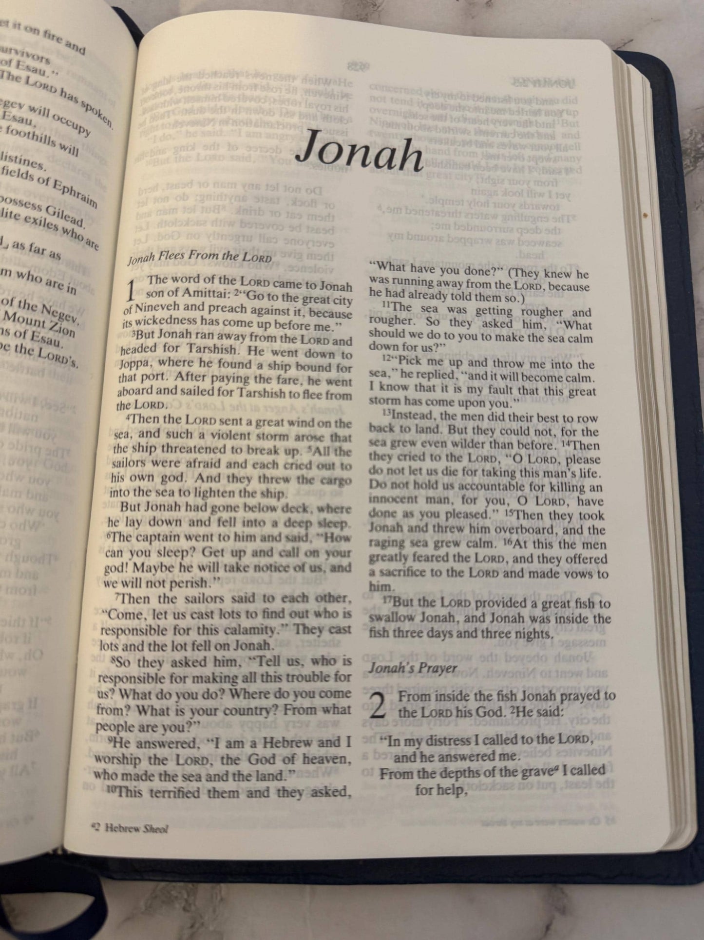 1988 NIV Holy Bible, Hodder & Stoughton - Ref X676