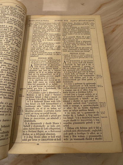 1872 Large Welsh Bible, Antique Welsh Holy Bible, Victorian Welsh Language Bible - Ref X645