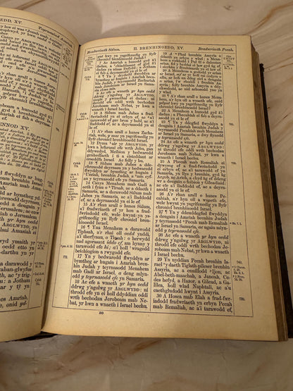 1872 Large Welsh Bible, Antique Welsh Holy Bible, Victorian Welsh Language Bible - Ref X645
