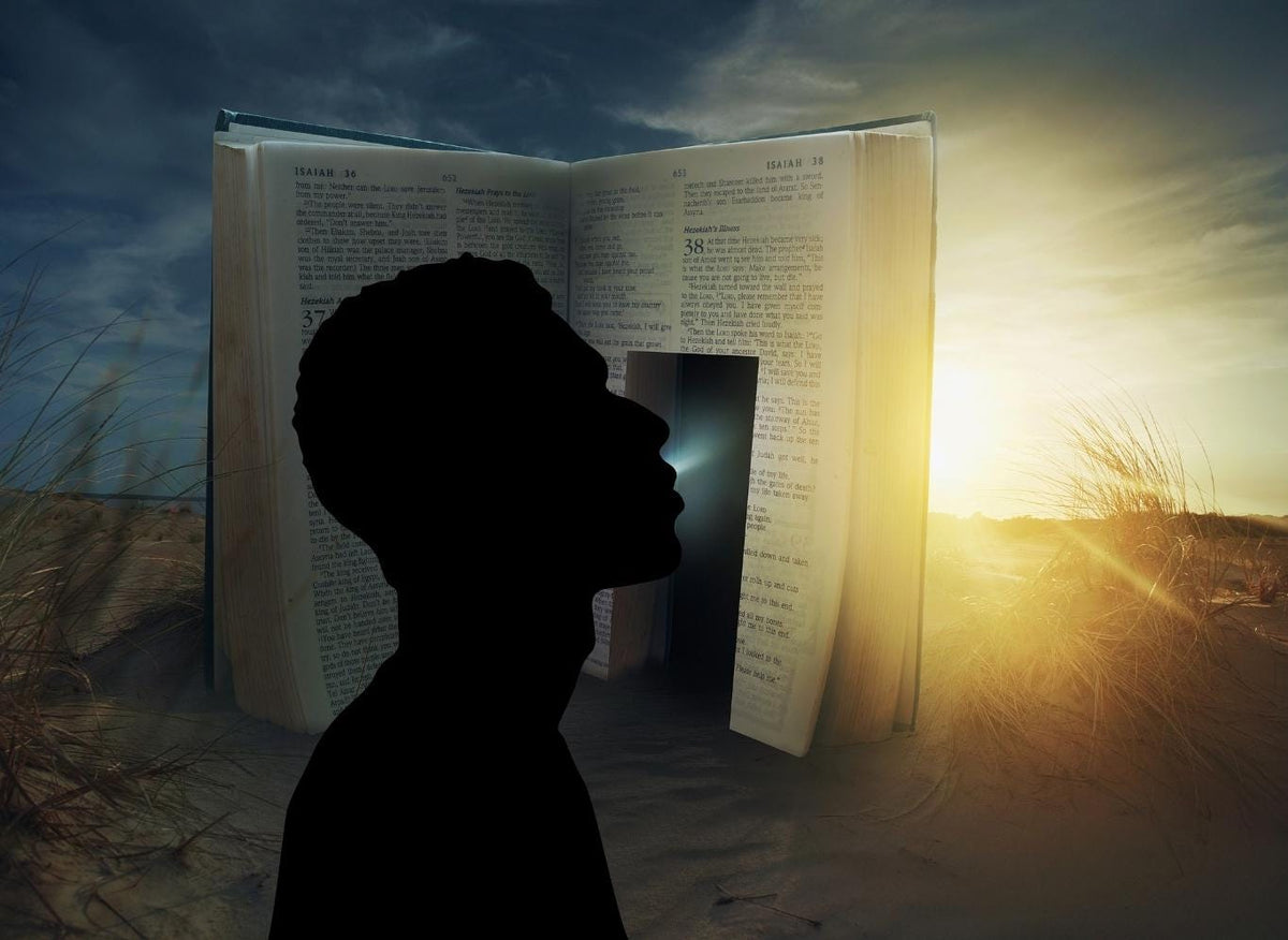 The Slave Holy Bible PDF Download