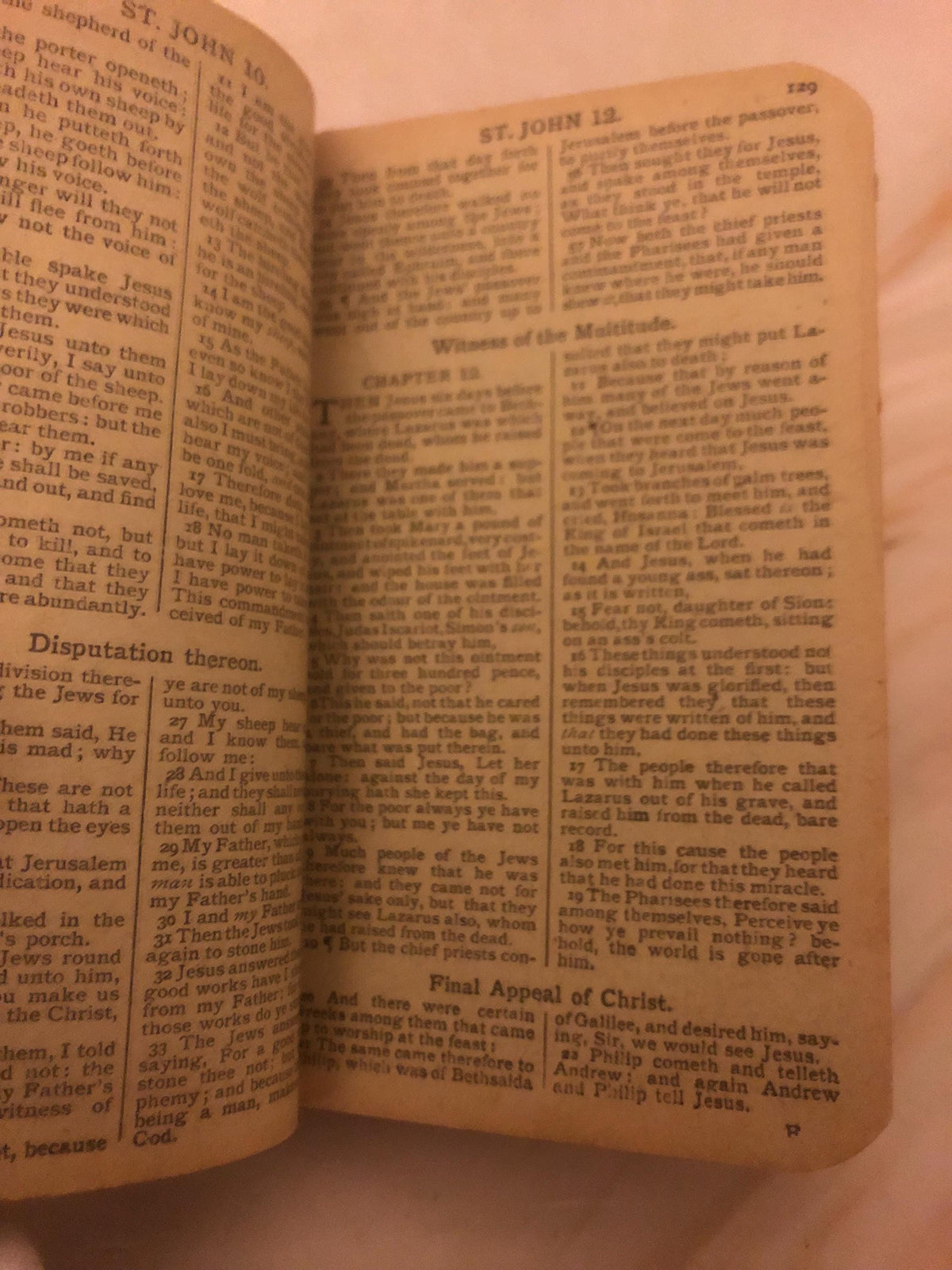 1800s Miniature Pocket Bible Daily Portion Edition - Ref x479