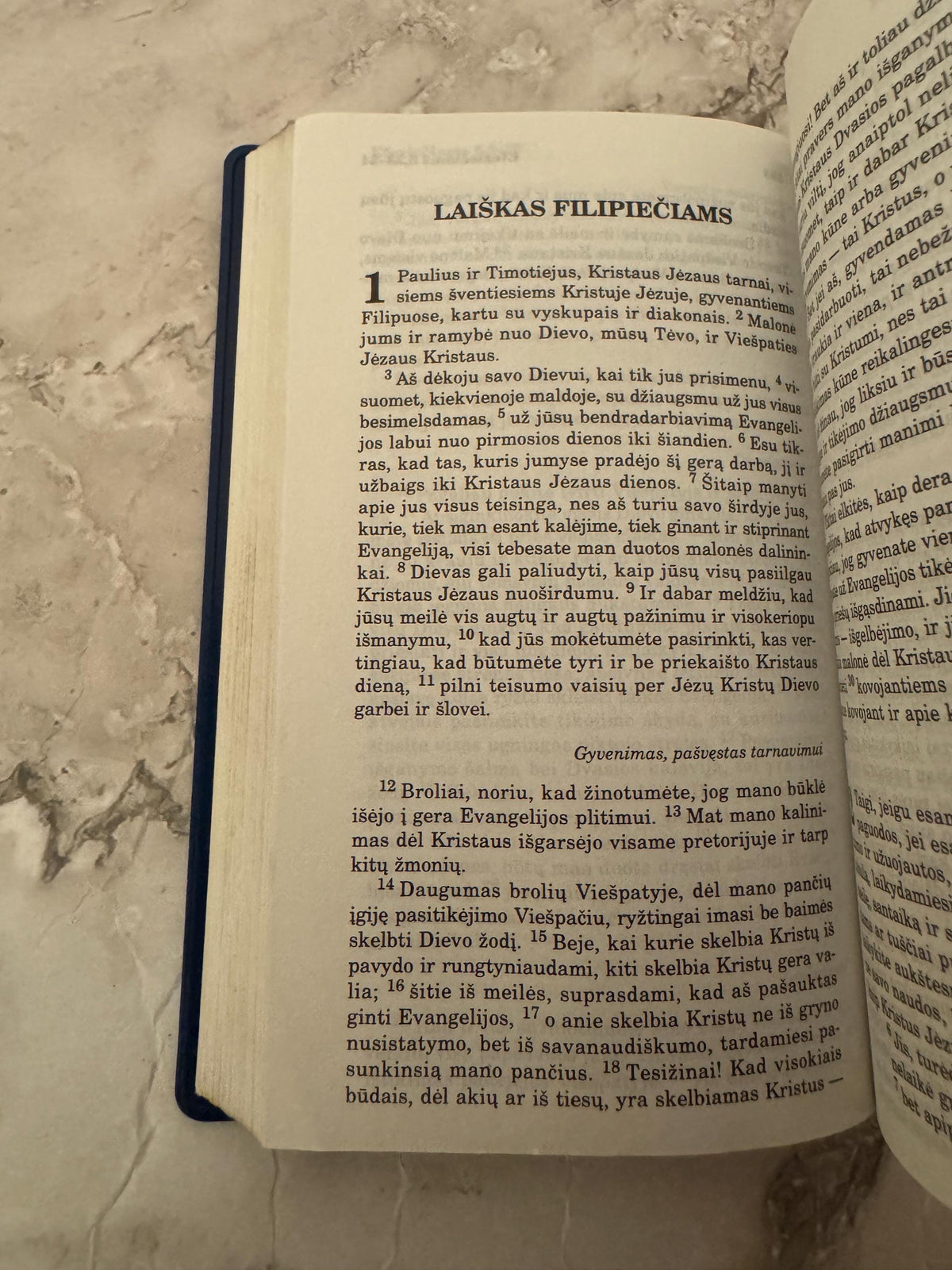 2002 Lithuanian New Testament Naujasis Testamentas Pocket Edition - Ref x606