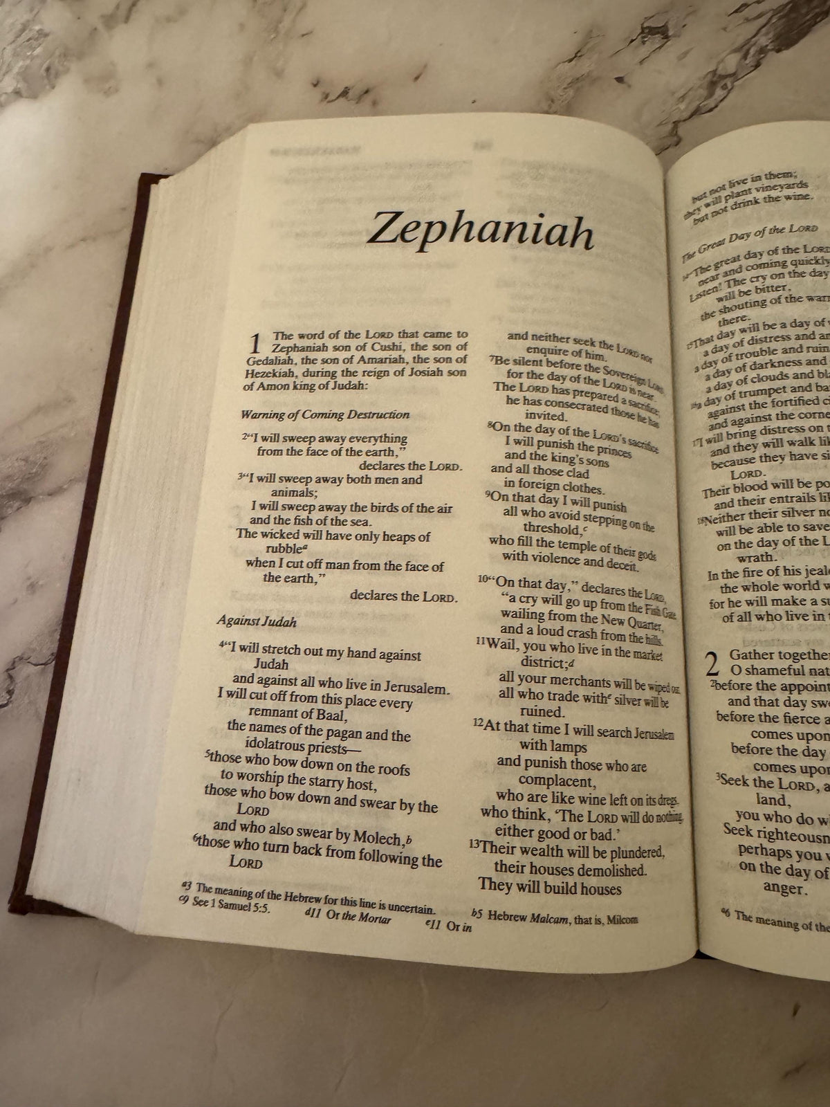 1994 NIV Bible with 1963 Church Wedding Pamphlet Vintage Christian Keepsake Gift - Ref x582