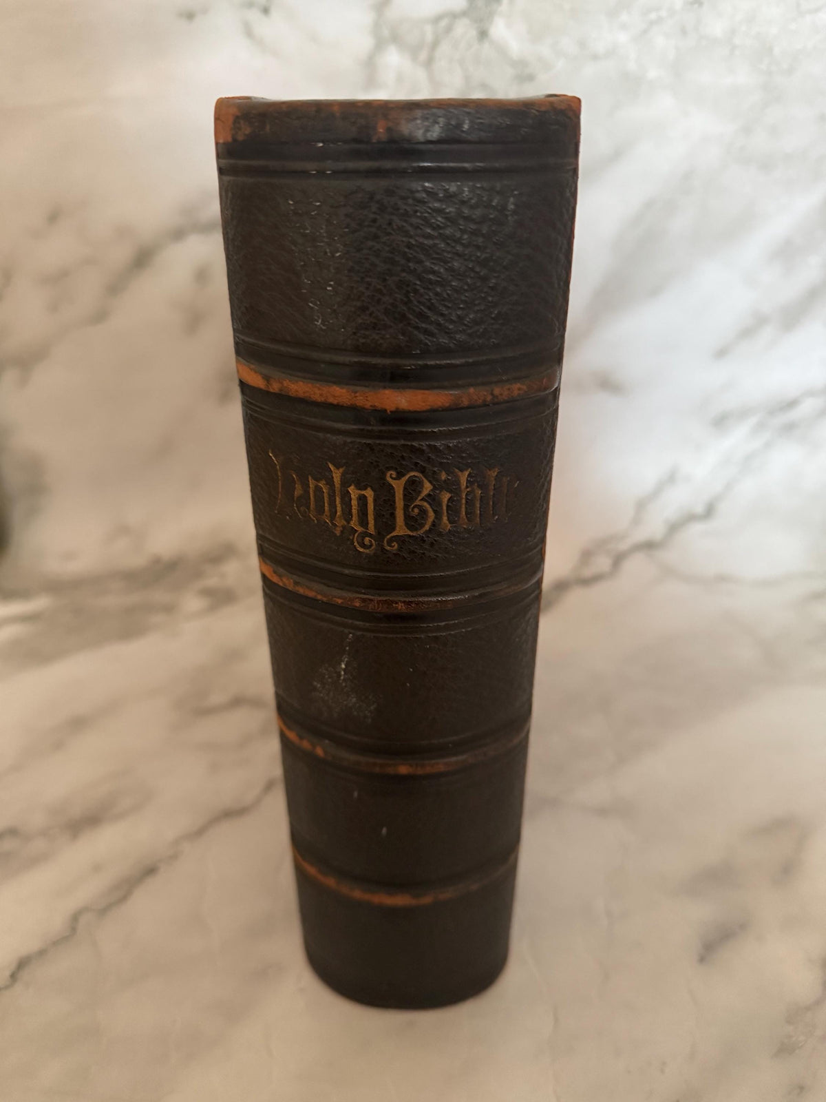 1880 Antique Holy Bible Large Victorian Leather Bound Brass Clasp 900 Illustrations - Ref x749