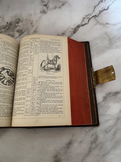 1880 Antique Holy Bible Large Victorian Leather Bound Brass Clasp 900 Illustrations - Ref x749