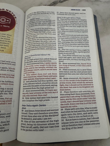 Armor of God Bible KJV Thomas Nelson Leathersoft Blue Gray - Red x747