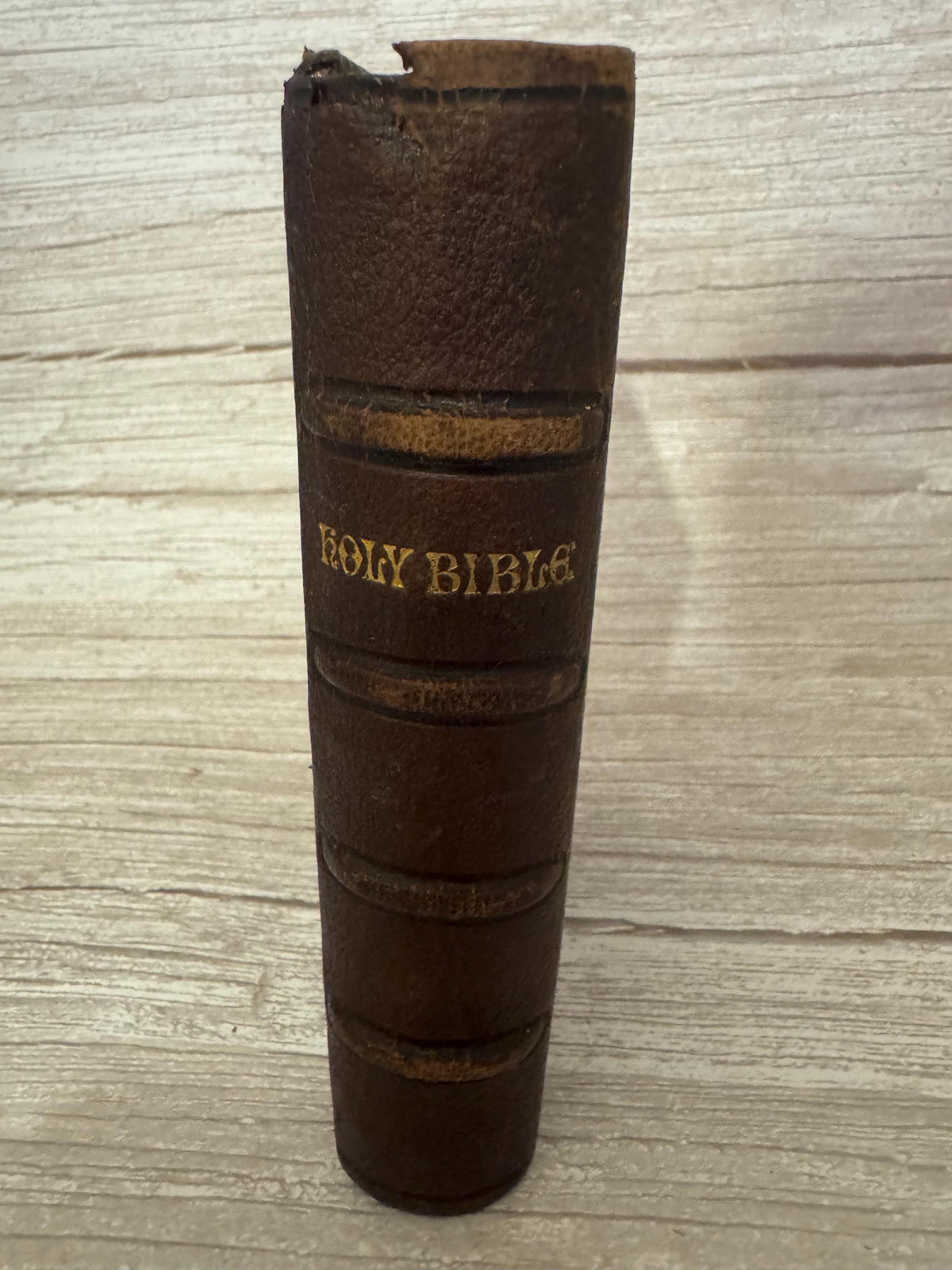 Antique Holy Bible Silver Clasp Corner Protectors Leather KJV Family Bible c.1860s - Ref x741