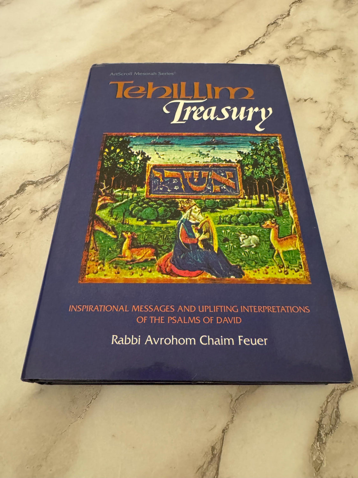 Tehillim Treasury ArtScroll Mesorah Series Rabbi Avrohom Chaim Feuer - Ref x580