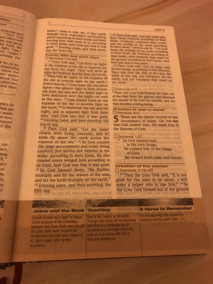 2007 Chronological Bible One Year Bible Modern Bible Christian Bible Study Bible - Ref x476