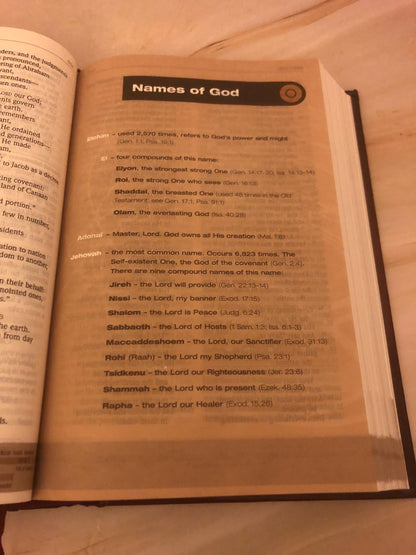 2007 Chronological Bible One Year Bible Modern Bible Christian Bible Study Bible - Ref x476