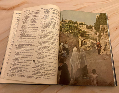 1952 Collins Illustrated RSV Holy Bible - (Ref x274)