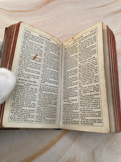 Antique 1800s Book of Common Prayer – Mini Pocket Prayer Book – Victorian Christian Devotional - (Ref x346)
